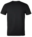 Classic T-Shirt Black backview.webp