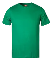 Classic T-Shirt Emerald.webp