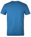 Classic T-Shirt - Airforce Blue-Backview 2.webp