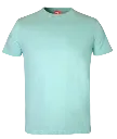Classic T-Shirt - Mint Green.webp