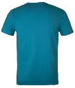 Classic T-Shirt - Aqua Backview (1).webp