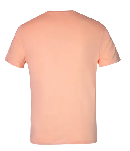 Classic T-Shirt - Peach-Backview.webp
