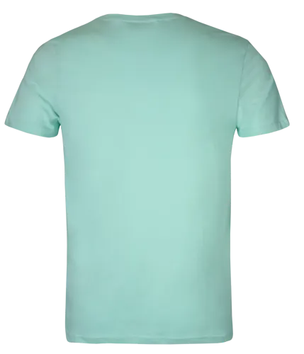 Classic T-Shirt - Mint Green-Backview.webp