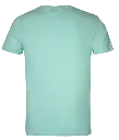 Classic T-Shirt - Mint Green-Backview.webp