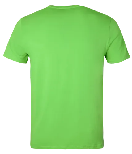 Classic T-Shirt Lime backview.webp