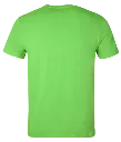 Classic T-Shirt Lime backview.webp