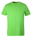 Classic T-Shirt Lime.webp