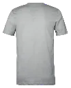 Classic T-Shirt Grey-backview.webp