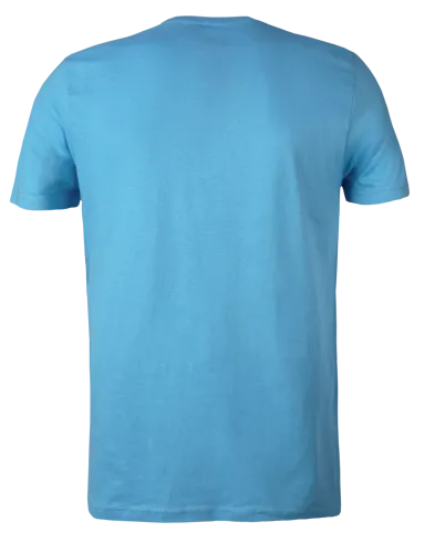 Classic T-Shirt Powder Blue - Backview.webp