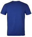 Classic T-Shirt Royal backview.webp