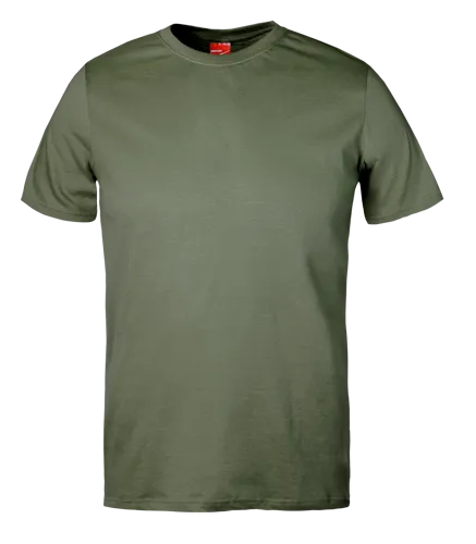 Classic T-Shirt Olive.webp