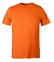 Classic T-Shirt Orange.webp