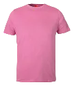 Classic T-Shirt Pink.webp